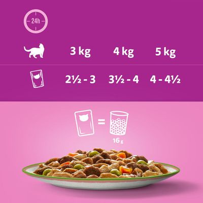 Sparpaket Multipack WHISKAS TASTY MIX Portionsbeutel 144 x 85 g