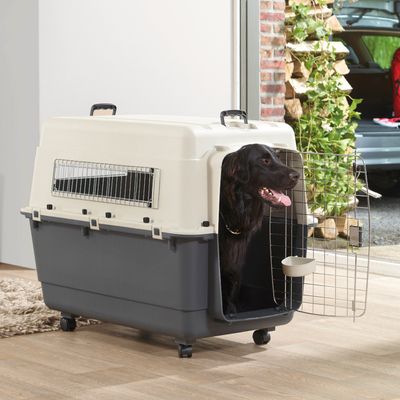 Savic Transportbox Feria Andes mit Rollen