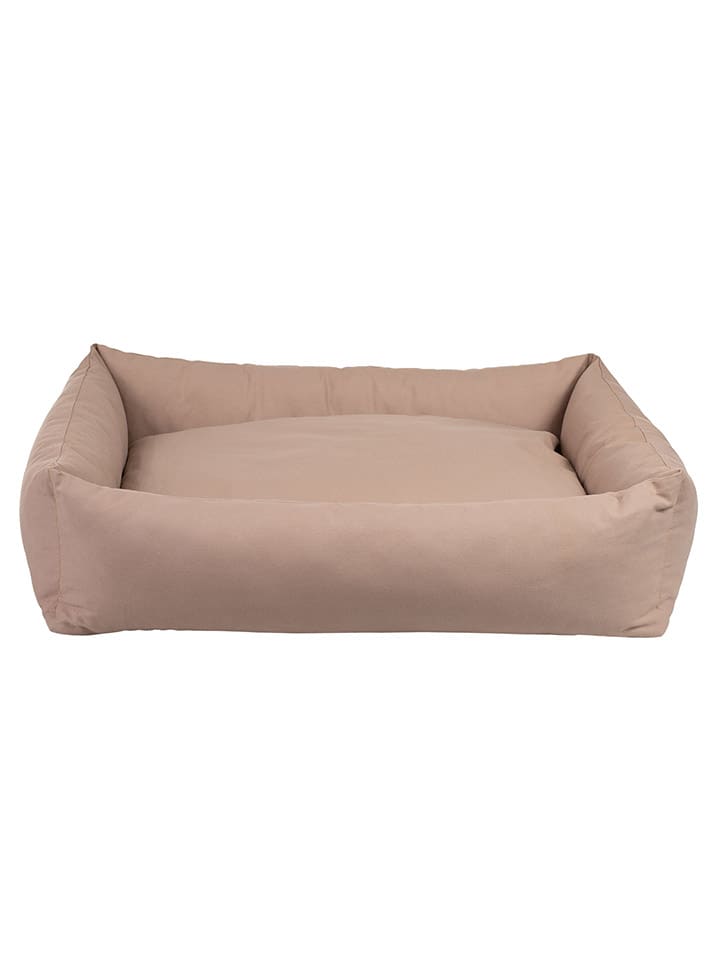 Paikka Hundebett in Hellbraun günstig kaufen 50x60 cm