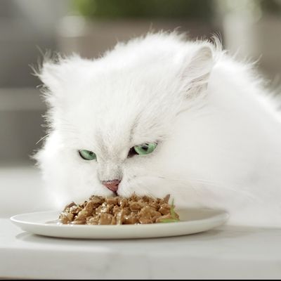 Multipack - Gourmet Perle 8 x 85 g