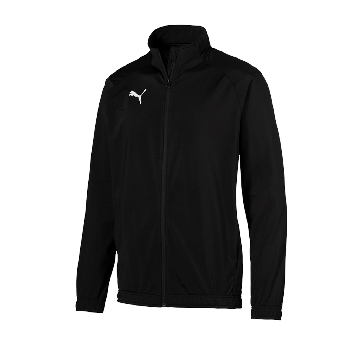 PUMA LIGA Sideline Polyesterjacke Schwarz F03