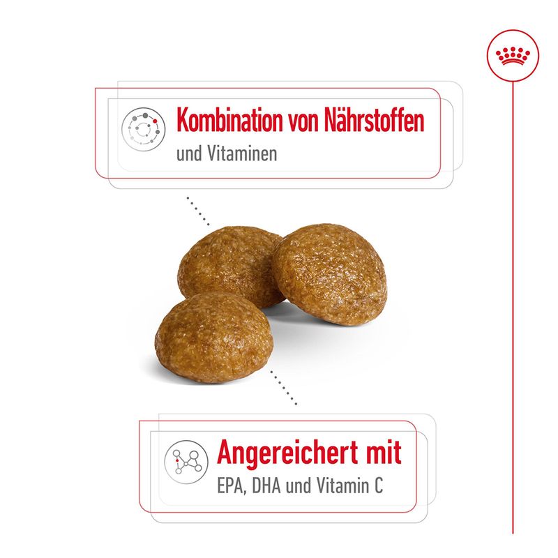 Royal Canin X-Small Adult 8 + zu TOP-Preisen