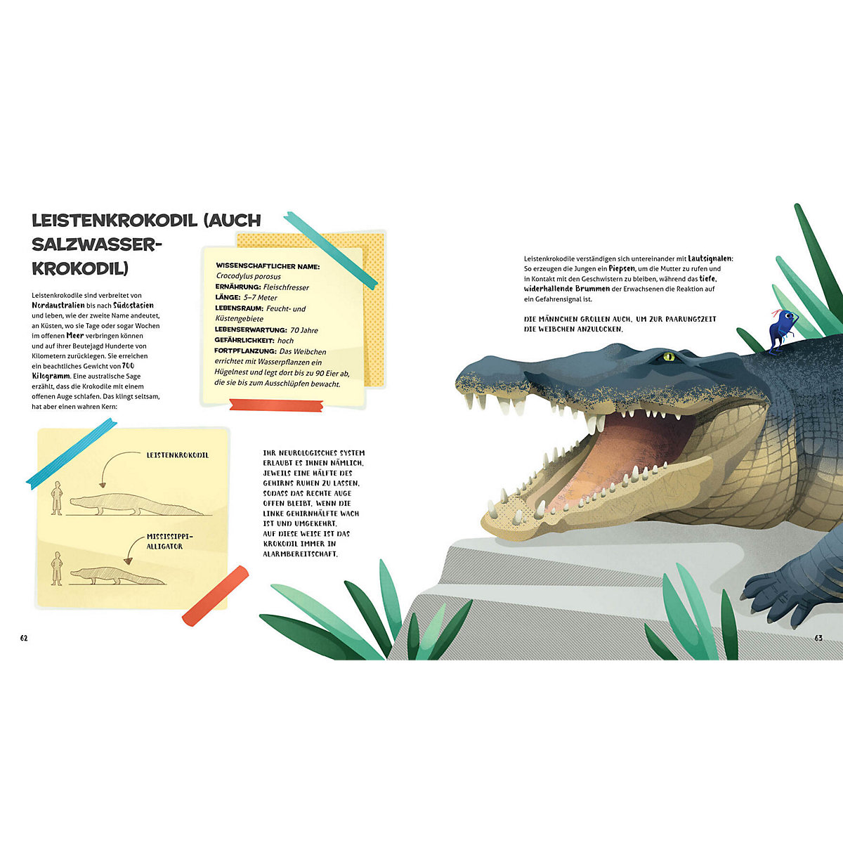 Besonders und wunderbar: Reptilien