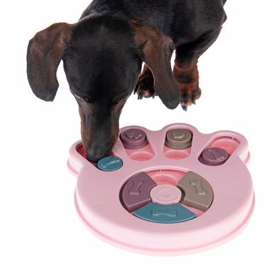 Intelligenzspielzeug Snack Paw