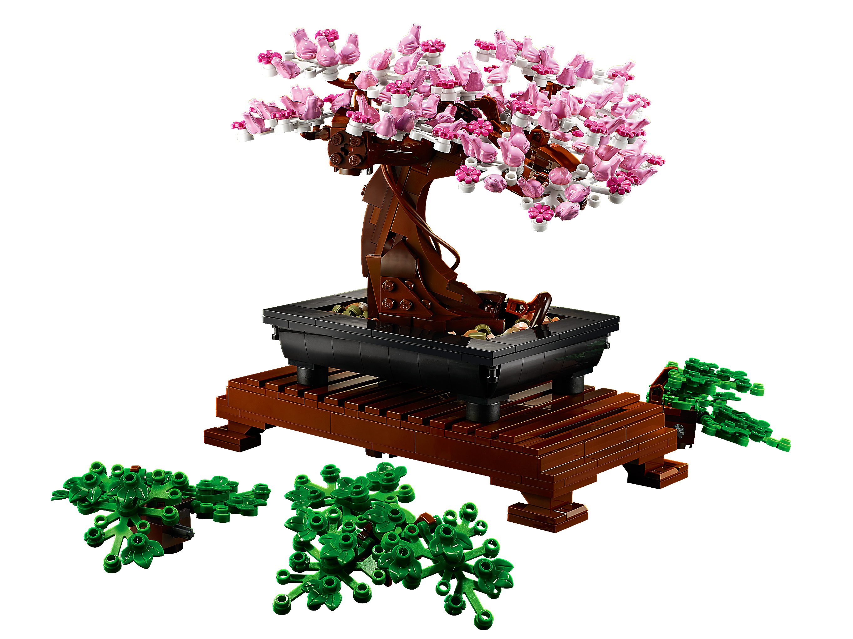 Bonsai Baum 10281