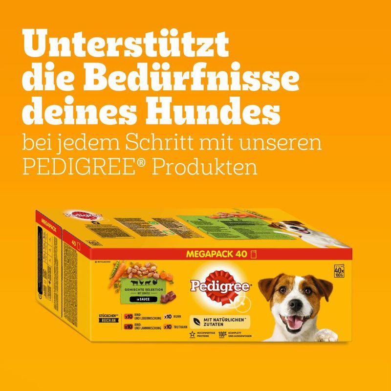 Pedigree Frischebeutel in Sauce