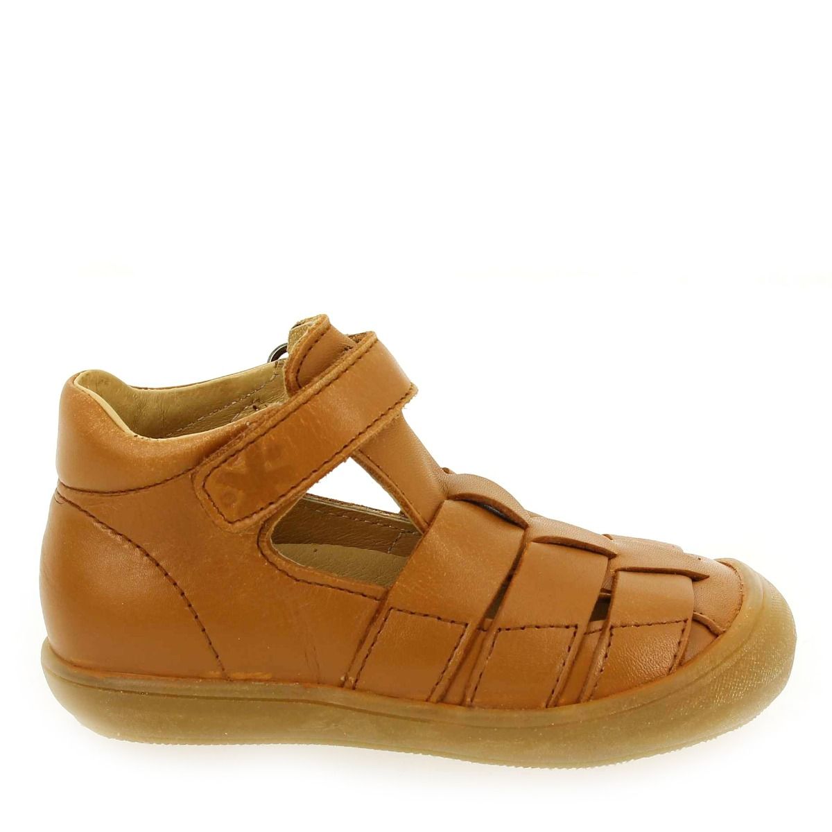 Acebos  1149 - Camel