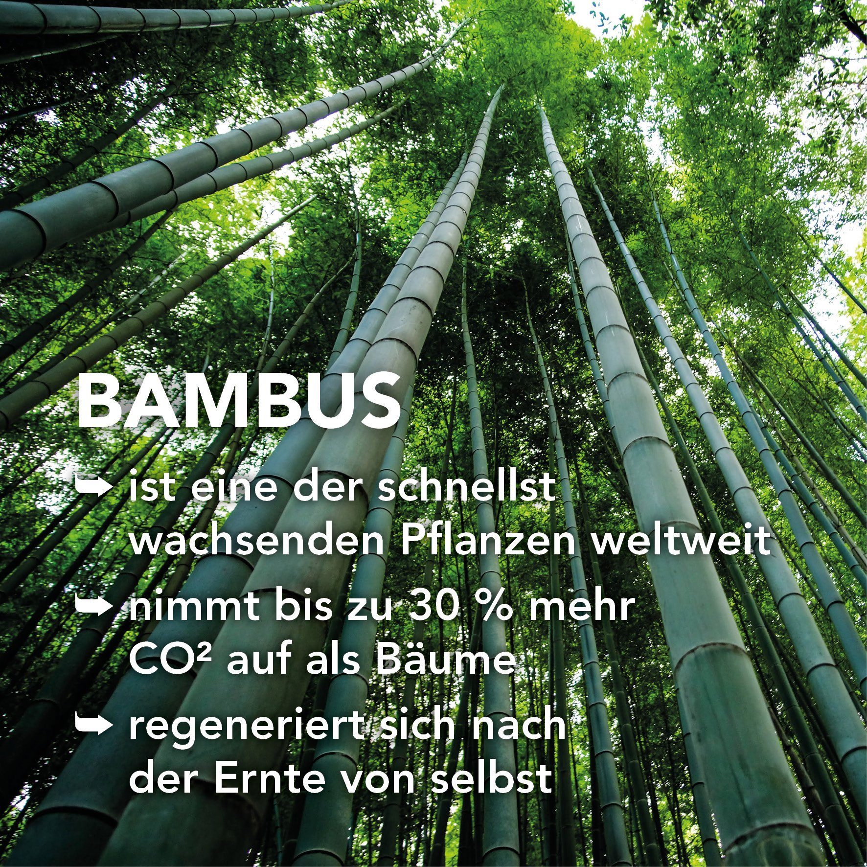 Sommerbettdecke, Bambus, leichtes und dünnes Steppbett, ideal für den Sommer, XDREAM, Füllung: nachhaltige Mischung aus Polyester und Viskose aus Bambus-Zellstoff, Bezug: samtig weiche Baumwolle, atmungsaktiv, kühlend und feuchtigkeitsregulierend