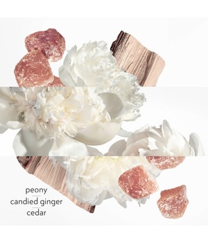 HERMÈS Twilly Eau Ginger   Eau de Parfum 30 ml