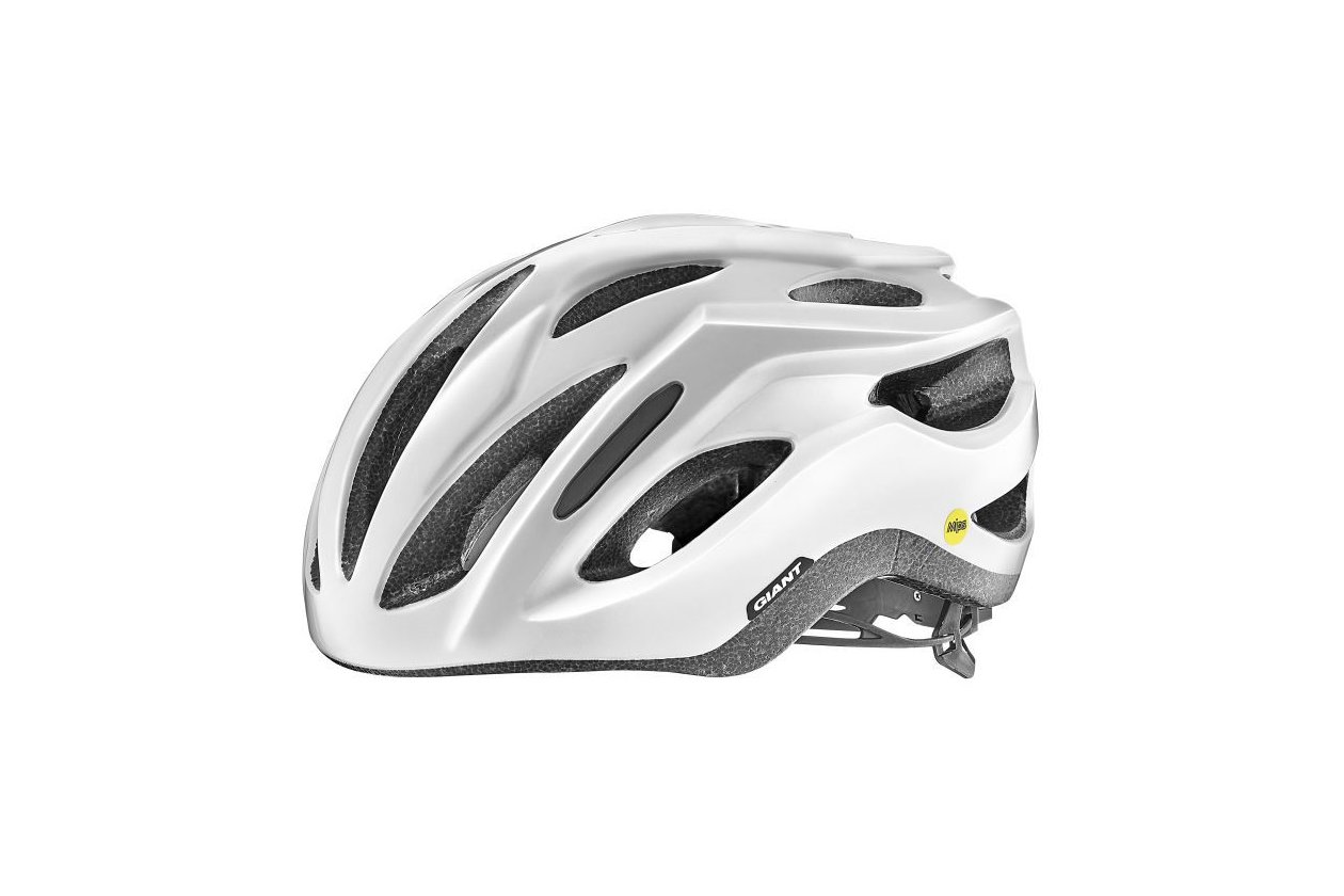 Giant Rev Comp MIPS