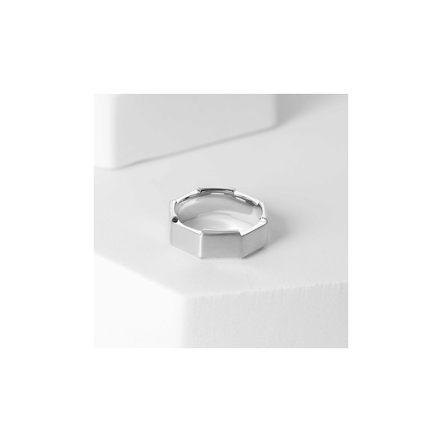 FAVS Herrenring