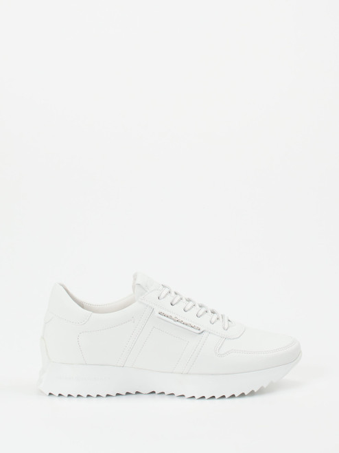 Sneaker-16637990279 Kennel & Schmenger