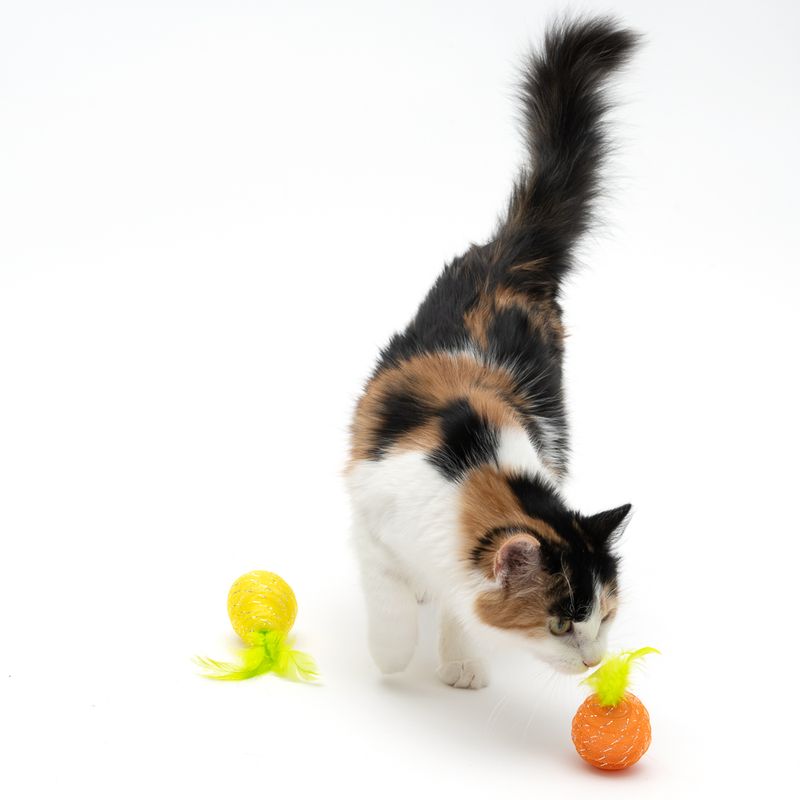 TIAKI Katzenspielzeug-Set Birne & Orange zu TOP-Preisen | bitiba