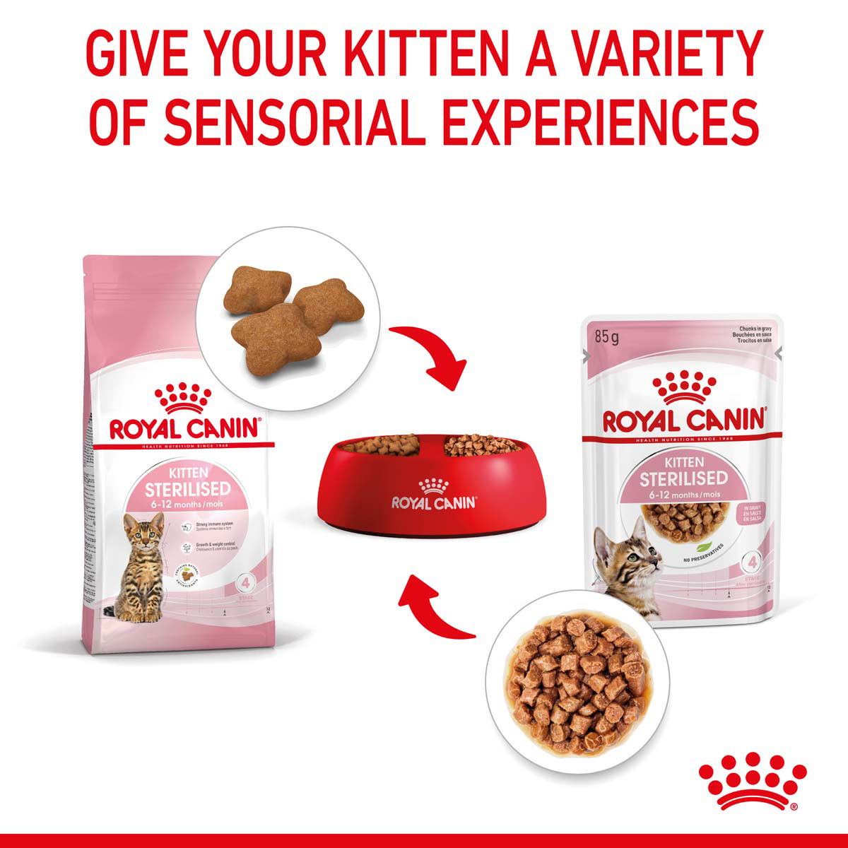 ROYAL CANIN KITTEN STERILISED in Soße Nassnahrung für kastrierte Kätzchen ab 6 Monaten