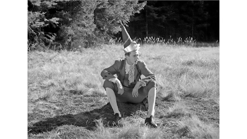 Die goldene Gans (1953) (Filmjuwelen / Schongerfilm-Märchen)