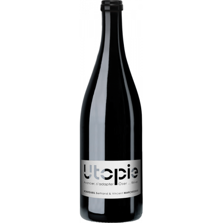 BOURGUEIL - UTOPIE 2021 - BERTRAND & VINCENT MARCHESSEAU