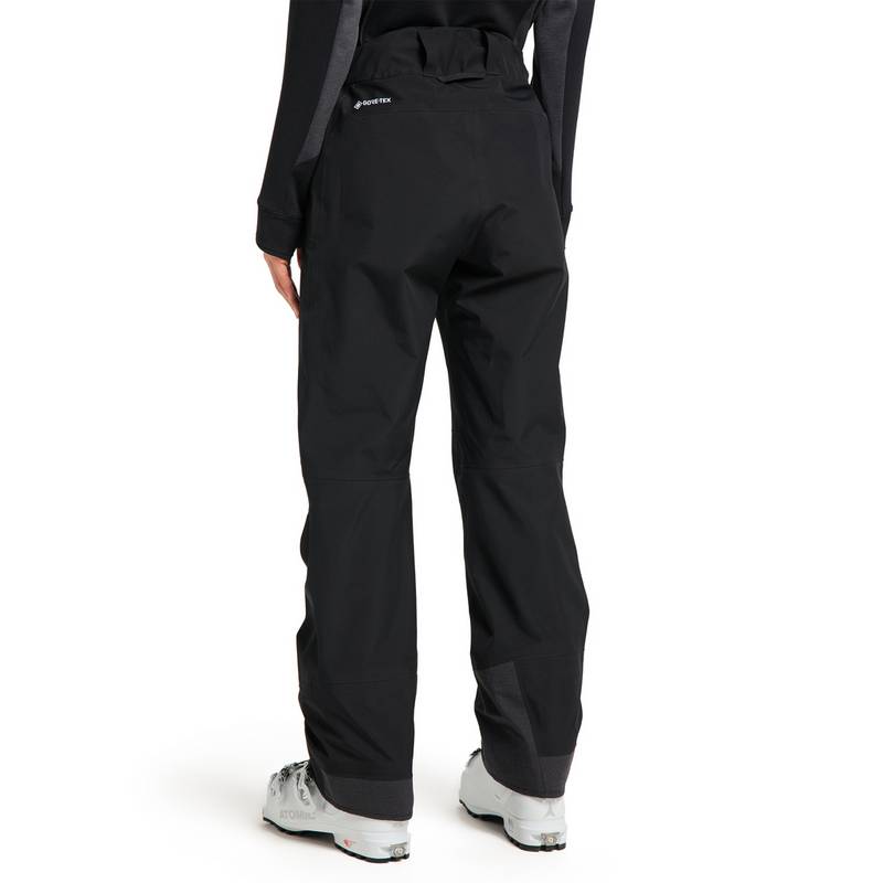 Haglöfs Alpine GTX Pant Funktionshose Damen