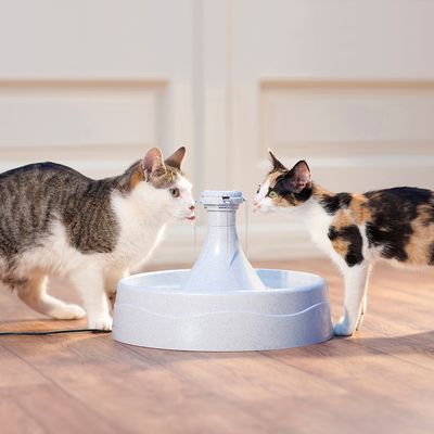 PetSafe® Drinkwell® Trinkbrunnen 360