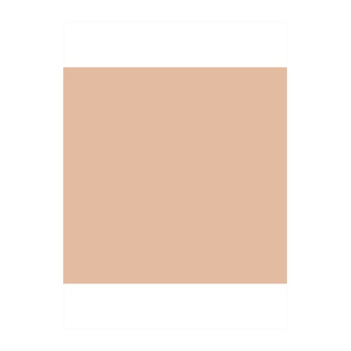 Shiseido Synchro Skin Glow Luminizing Fluid Foundation Rose 2 30 ml