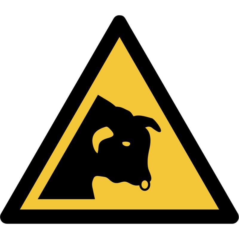 Djois Warnschild Warnung vor dem Stier Klebstoff, einschraubbar PP (Polypropylen) 20 (B) x 0,14 (H) cm 3 Stück