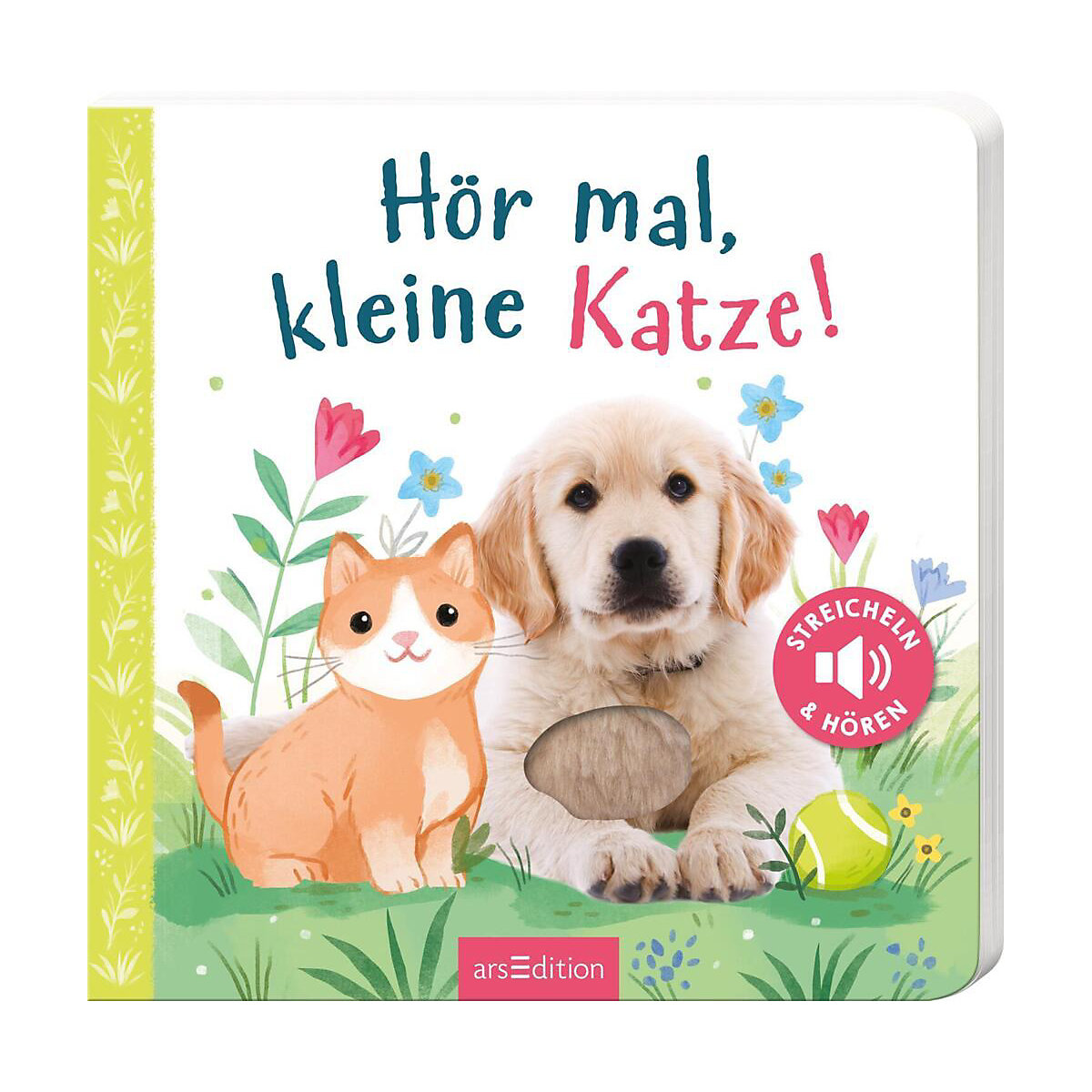 Hör mal, kleine Katze!