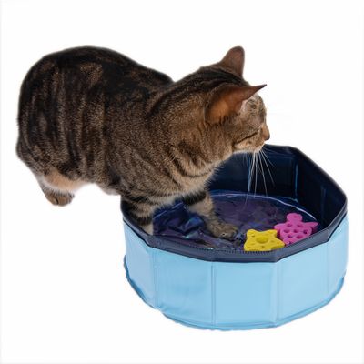 Kitty Pool mit schwimmfähigem Spielzeug