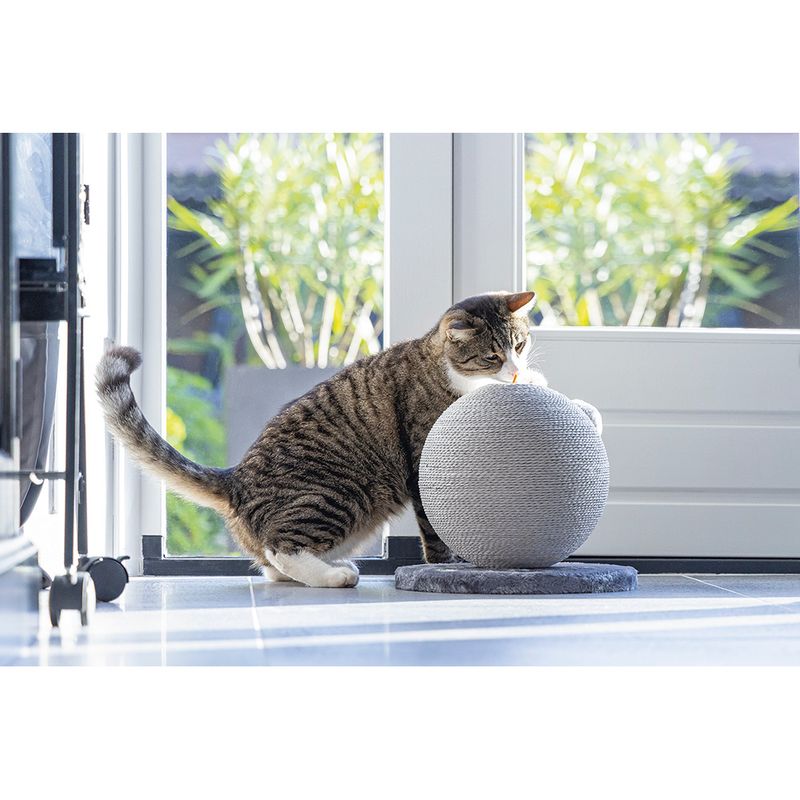 Karlie Kratzball Bolly zu TOP-Preisen