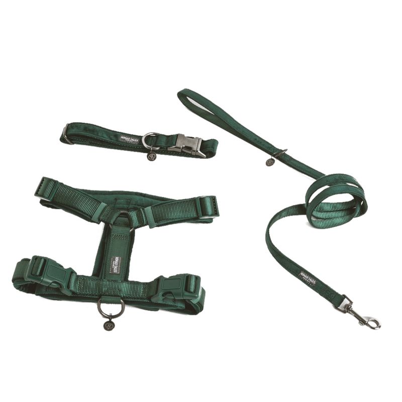 Nomad Tales Blush Geschirr, emerald zu TOP-Preisen