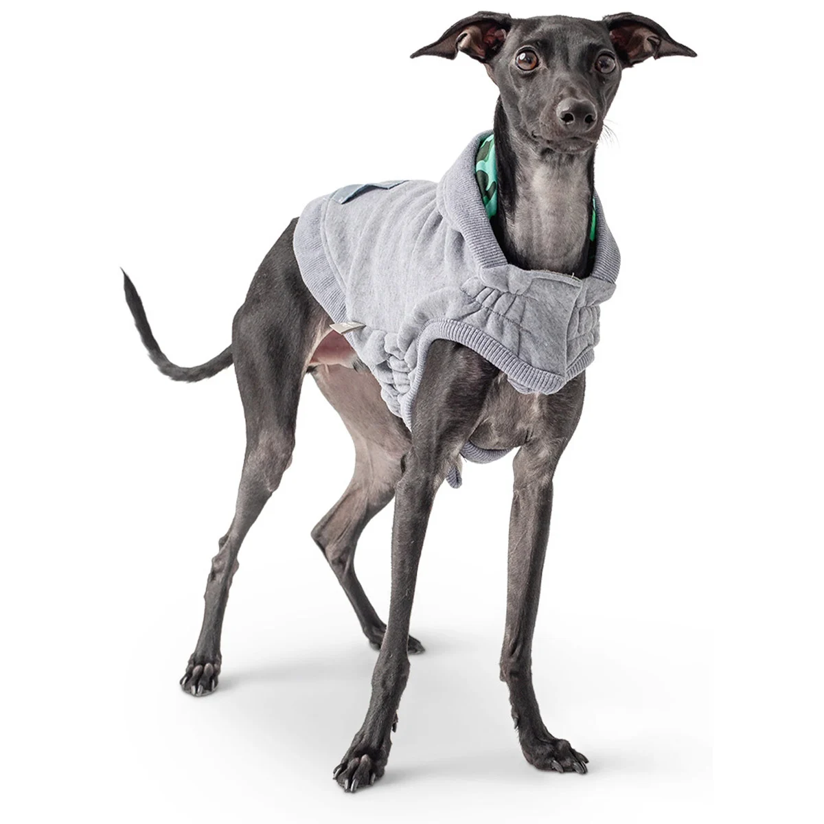GF Pet Lodge Hoodie grau günstig kaufen bei ZooRoyal