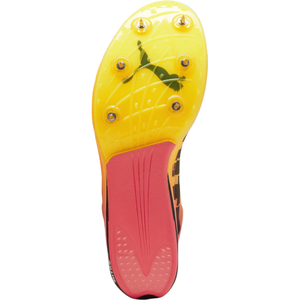 PUMA evoSPEED Long Distance Nitro Elite 2 379557-001 / orange