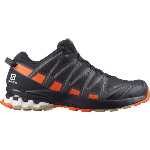 HERREN TRAILRUNNINGSCHUHE XA PRO 3D V8 GTX
