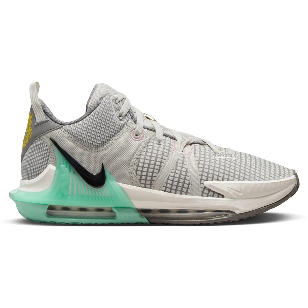 Nike LeBron Witness 7 DM1123-006 / grau