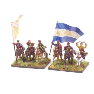 Transylvanian leaders