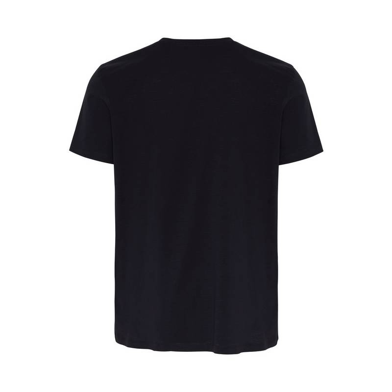 Chiemsee T-Shirt T-Shirt Herren