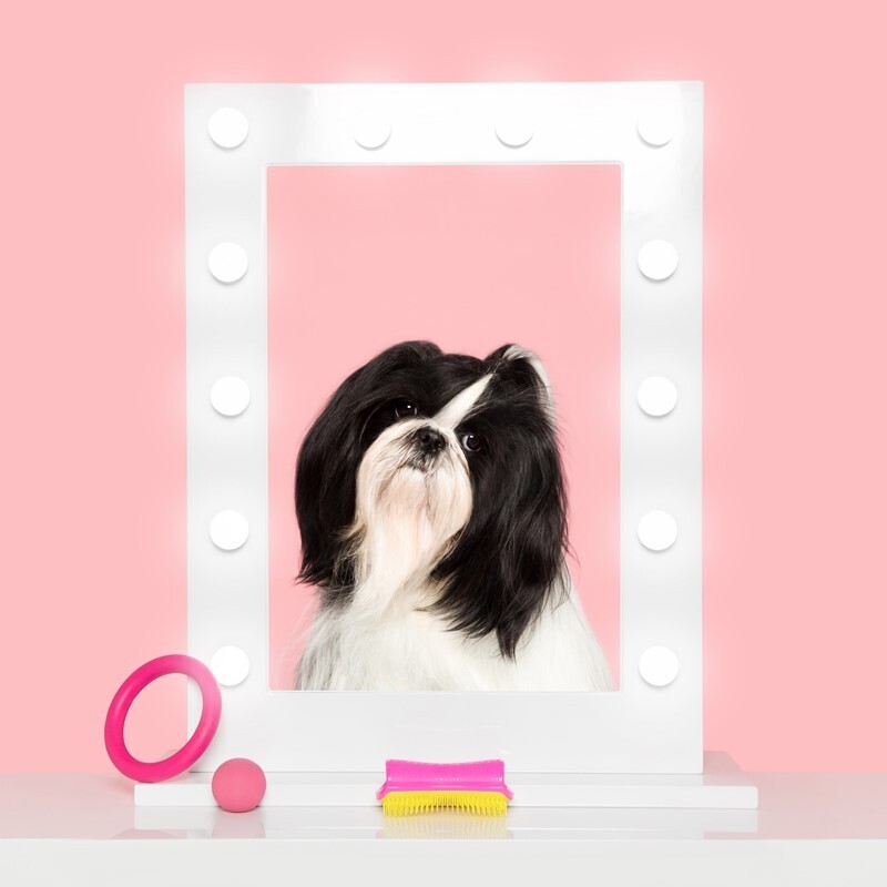 New Flag Fellpflege New Flag Pet Teezer Detangling pink