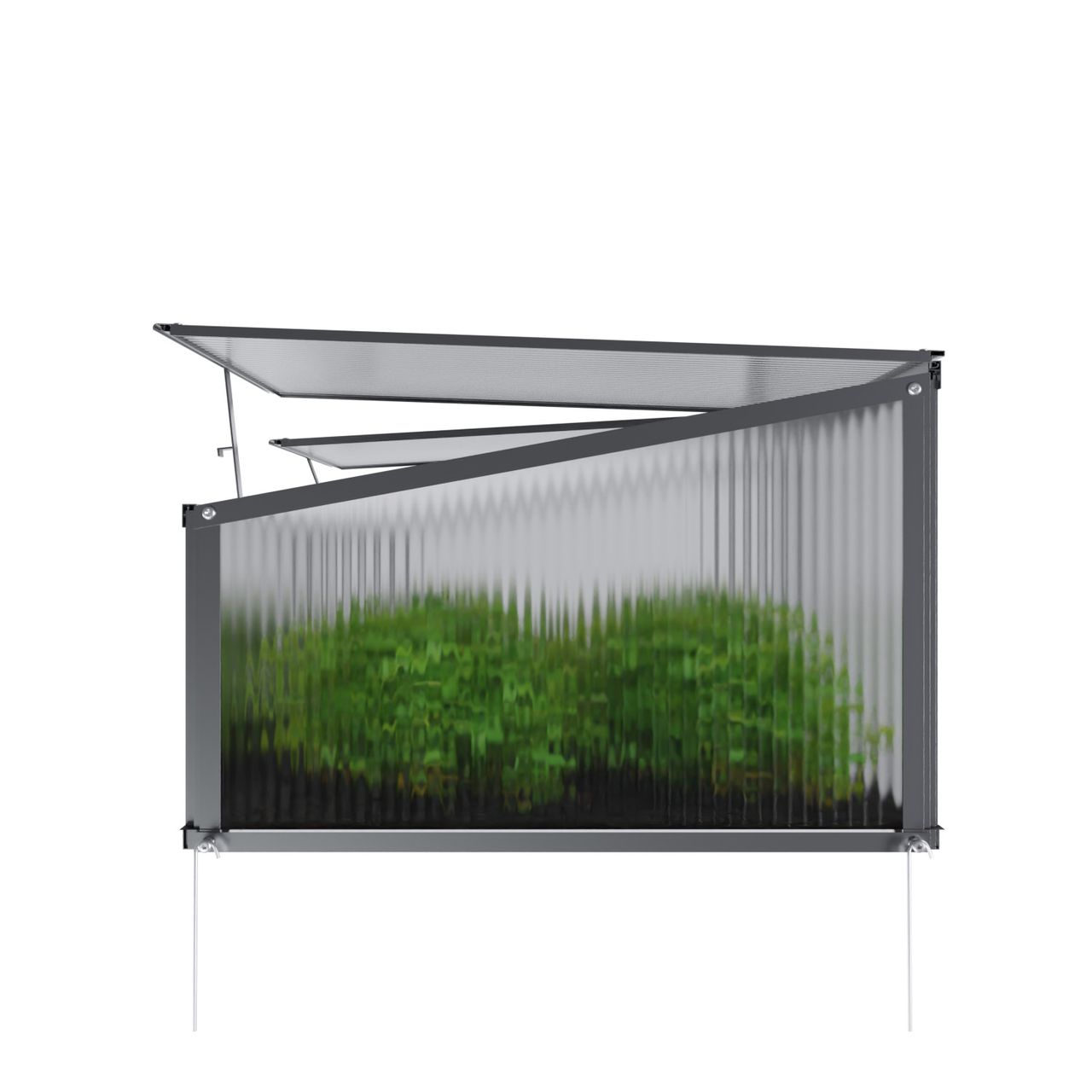 Garmio Frühbeet Mini Gewächshaus Allium Dachfenster, UV-Schutz, Alu Frühbeet, Mini-Gewächshaus