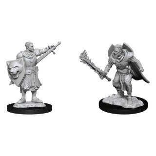 Pathfinder Deepcuts: Human Champion Male