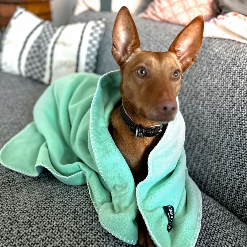 Nomad Tales FIR Tech Rehabilitation Hundedecke
