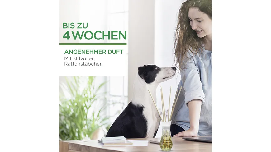 Air Wick Duftvase Verwunschener Garten 30ml 30 ml