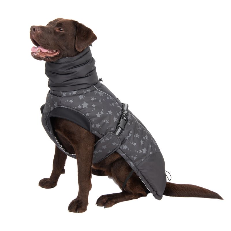 Hundemantel Reflecting Stars zu TOP-Preisen