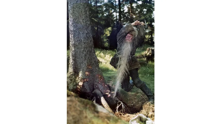 Schneeweißchen und Rosenrot (1979) (Filmjuwelen / DEFA-Märchen)