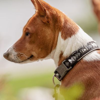 Hurtta Bare Halsband, coal
