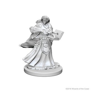 Human Female Wizard: D&D Nolzurs Marvelous Unpainted Minis