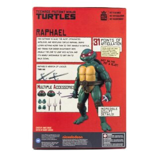 Teenage Mutant Ninja Turtles BST AXN x IDW Actionfigur & Comic Raphael Exclusive 13 cm