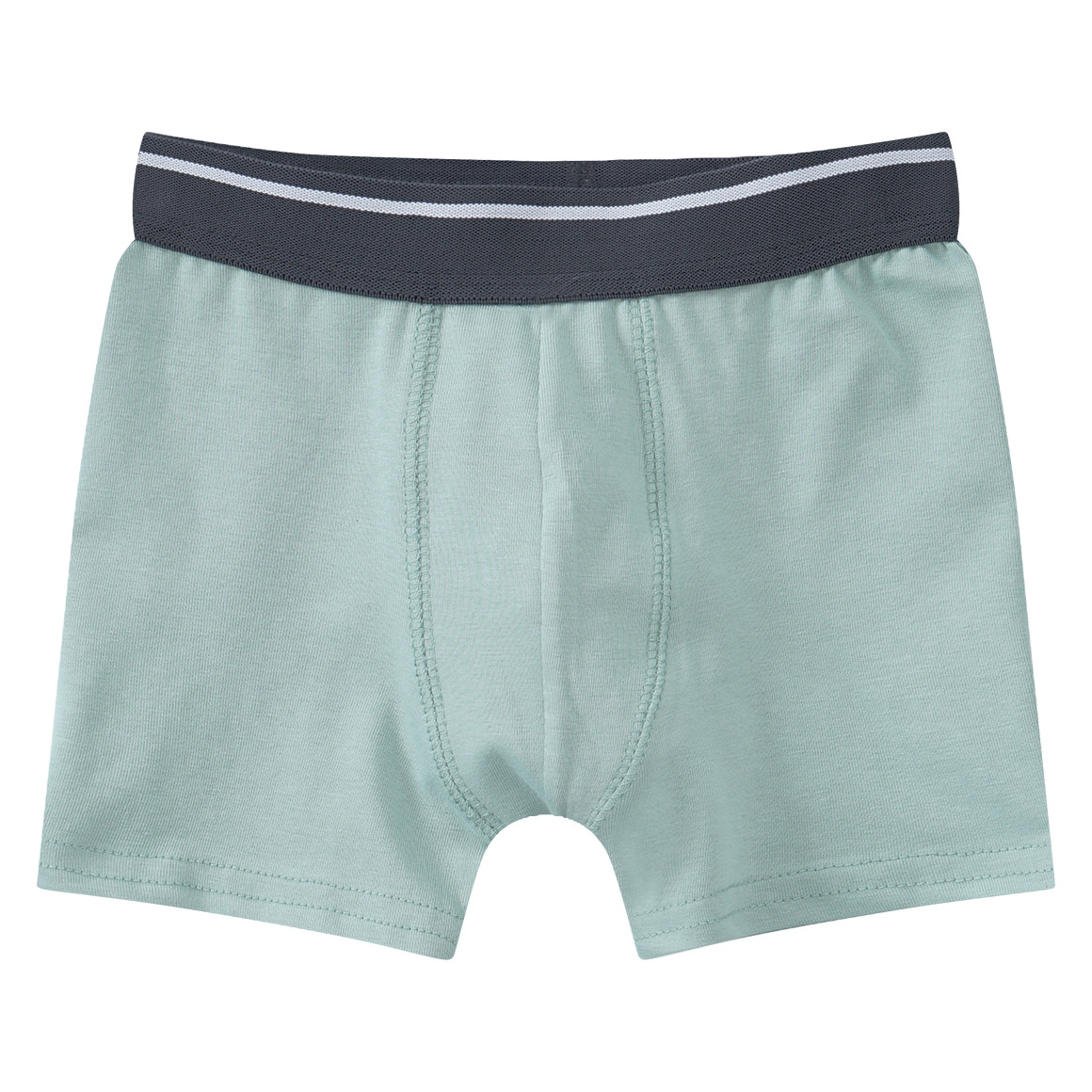 5 Jungen Boxer in verschiedenen Dessins