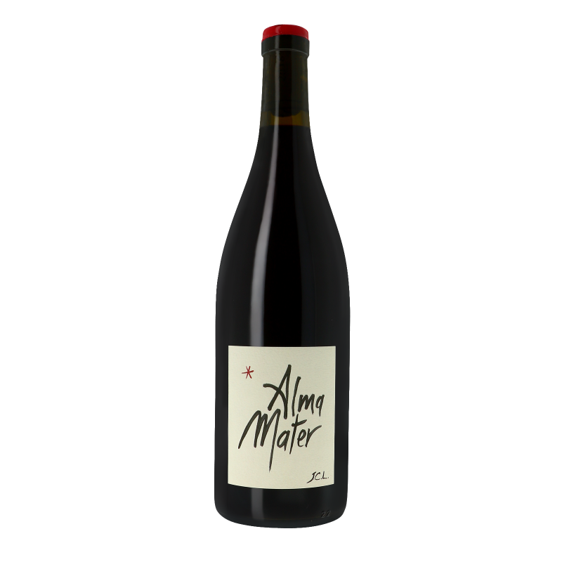 Alma Mater Amphore 2020 - Vin de France - Beaujolais - Beaujolais - Jean-Claude Lapalu (75CL.)