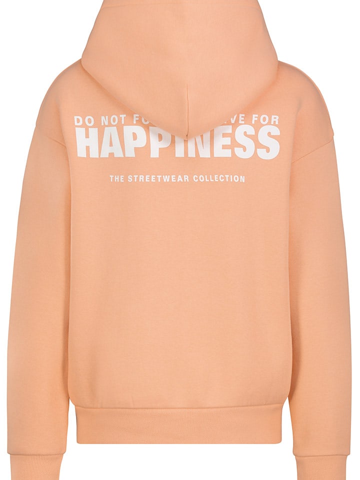 Sublevel Hoodie in Apricot günstig kaufen