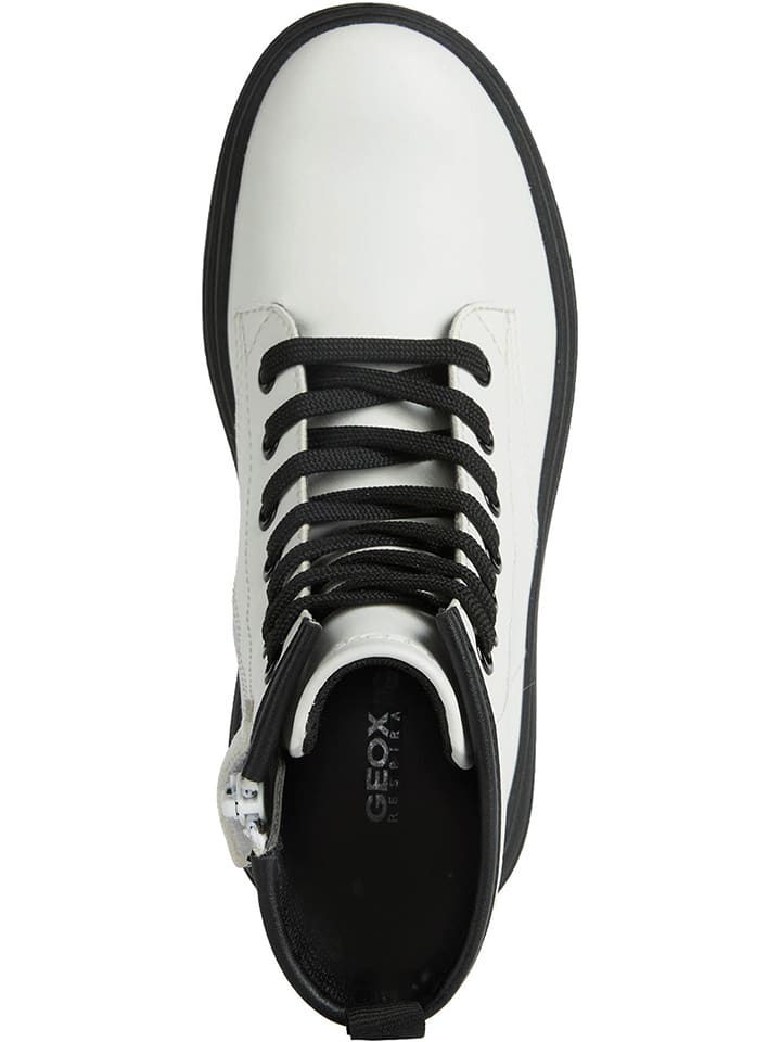 Geox Boots 