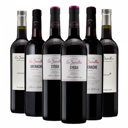 PACK BEST OF VIN ROUGE LES JAMELLES