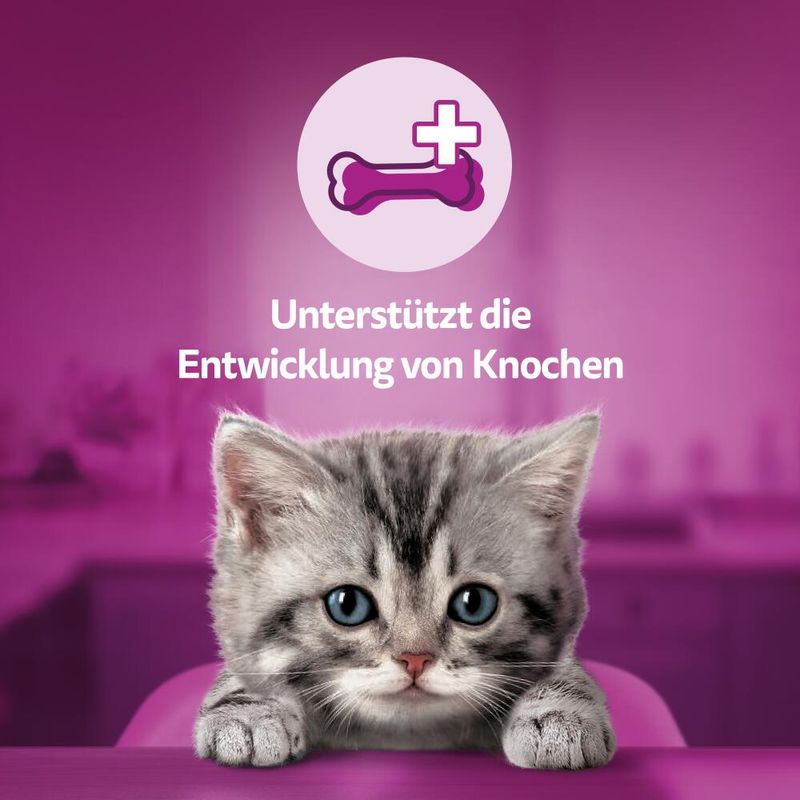Whiskas Milch-Kätzchen zu TOP-Preisen